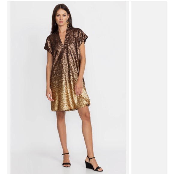 Johnny Was Dresses & Skirts - NWT JOHNNY WAS
Alma Ombre Sequin V-Neck Short Sleeve Shift Dress
